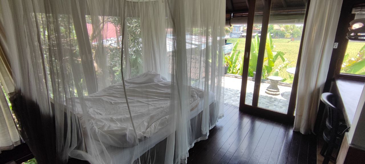 Bedroom with a large bed and mosquito net