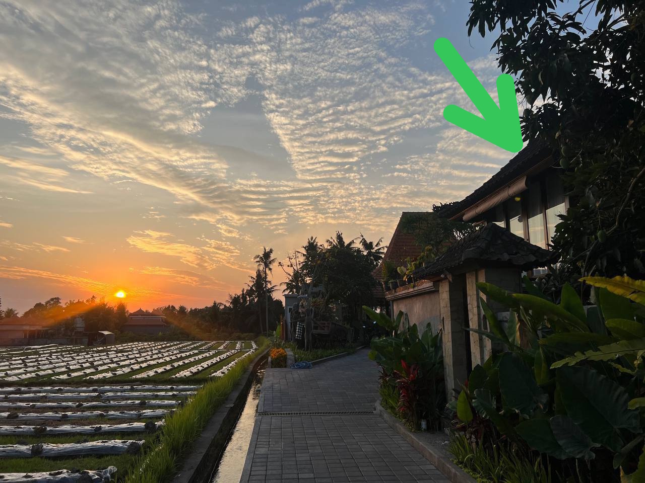 The house beside the rice fields at sunset