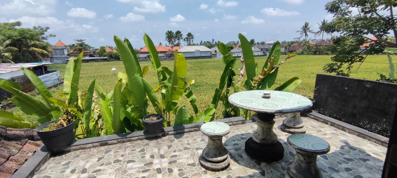 A terrace overlooking green rice fields